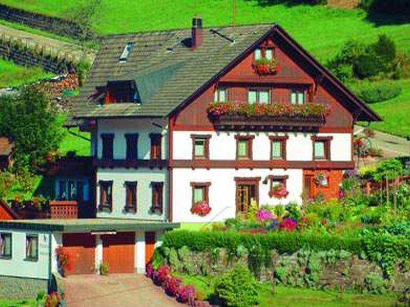 Gaestehaus Heimenberg Bad Rippoldsau-Schapbach Ngoại thất bức ảnh