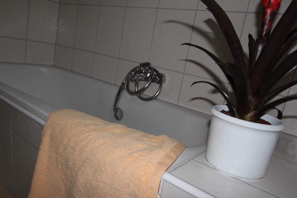 Gaestehaus Heimenberg Bad Rippoldsau-Schapbach Ngoại thất bức ảnh