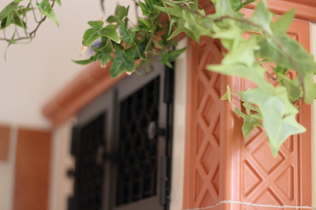 Gaestehaus Heimenberg Bad Rippoldsau-Schapbach Ngoại thất bức ảnh