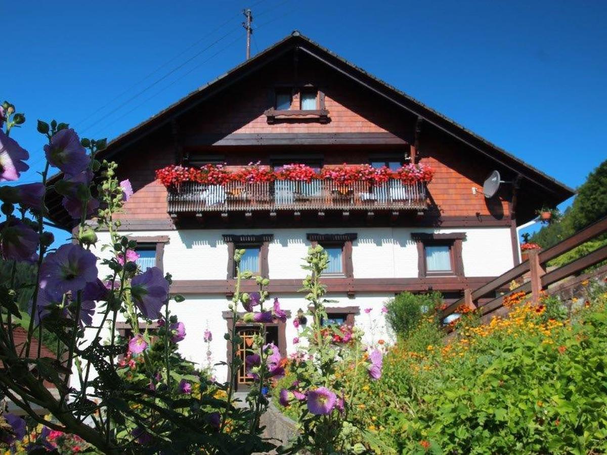 Gaestehaus Heimenberg Bad Rippoldsau-Schapbach Ngoại thất bức ảnh