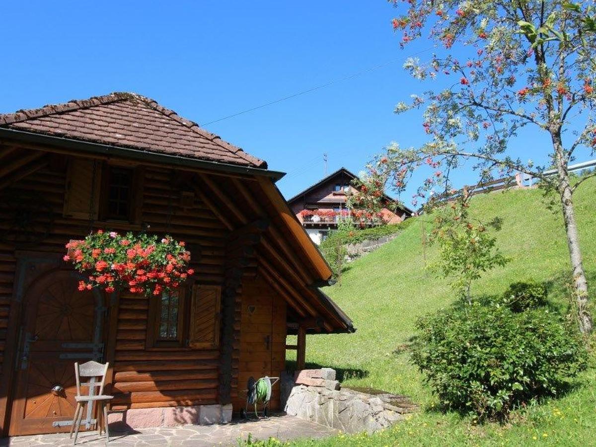 Gaestehaus Heimenberg Bad Rippoldsau-Schapbach Ngoại thất bức ảnh